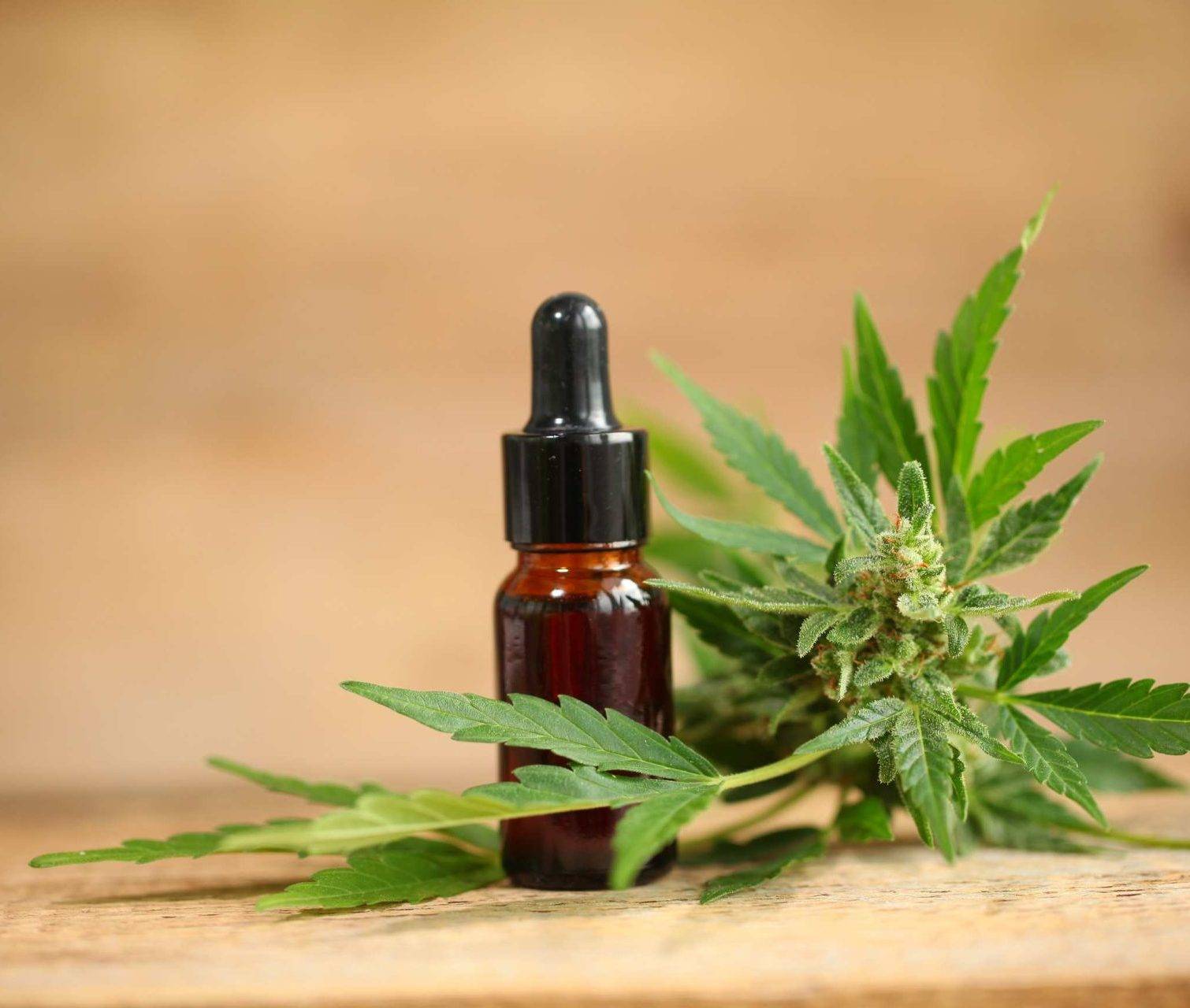 medical marijuana dispensaries near me, Medical Marijuana for Multiple Sclerosis, Medical Marijuana laws in Kentucky
