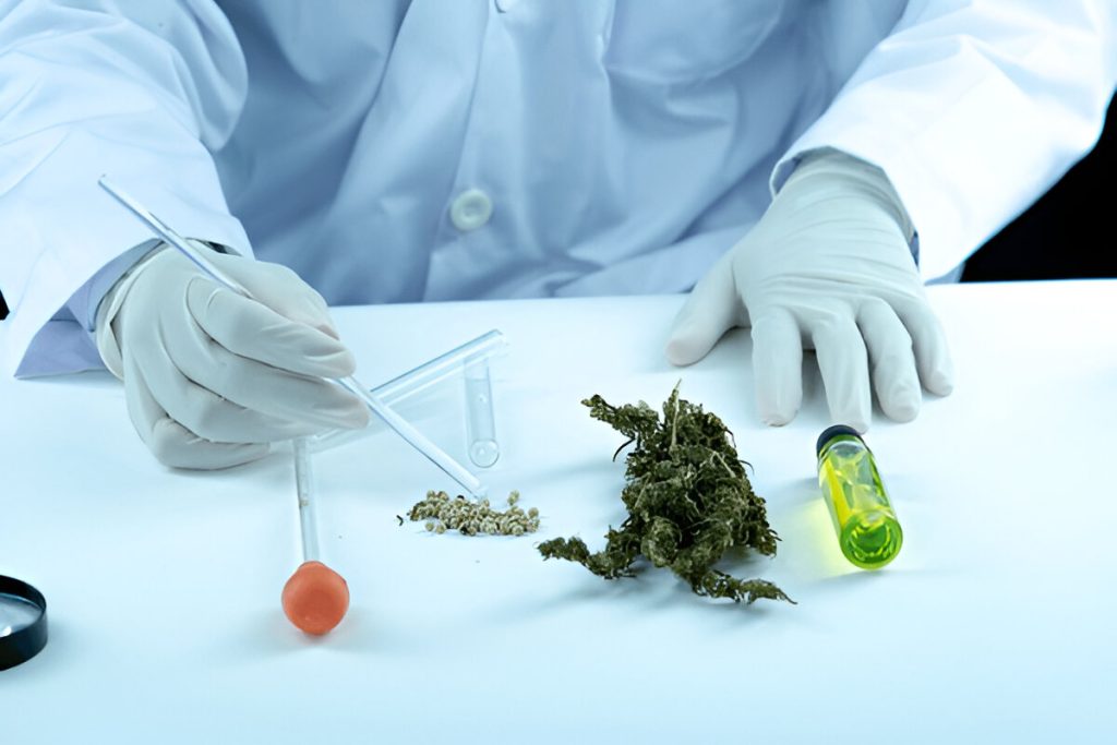 Medical cannabis businesses, medical cannabis