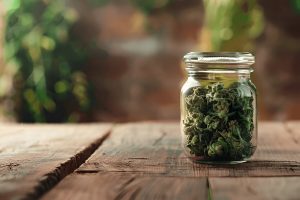 Medical Marijuana for Treating Muscle Spasticity in Kentucky